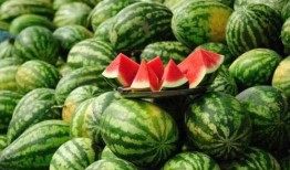 安溪浅陌网红吃瓜视频,揭秘娱乐圈幕后真相